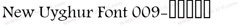 New Uyghur Font 009字体转换